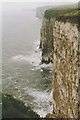 TA1974 : Bempton Cliffs by Richard Sutcliffe