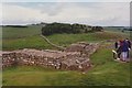 NY7968 : Hadrian's Wall by Richard Sutcliffe