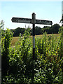 TM0580 : Roadsign on Low Common by Geographer