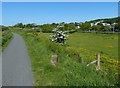 Path next to the Union Canal near Hallglen