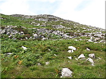 J3728 : Abandoned granite workings on the eastern slopes of Millstone Mountain by Eric Jones