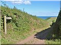 Signpost pointing to the footpath to Scabbacombe Sands, near Kingswear, Devon