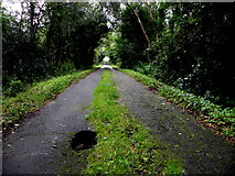 H4478 : Pothole along Tattynagole Road by Kenneth  Allen