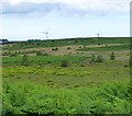 Doddington North Moor