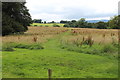 SN6222 : Footpath, Dynefwr Park, to Dynevor Farm by M J Roscoe