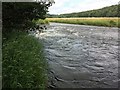 River Derwent, Cockermouth