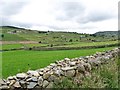 A tributary valley of the Burren seen from the Burren Road