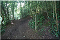 Cotswold Way signpost in Pen Wood