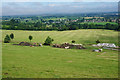 Longhorn cattle by Woodside Farm