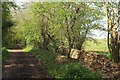 Byway on Backwell Hill