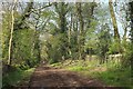 Byway on Backwell Hill