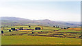 Westward from just north of Cerrigydrudion, 1995