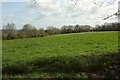 Field above Backwell