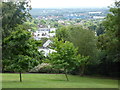 View from Horniman Museum Gardens, Forest Hill