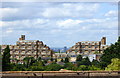 View from Horniman Museum Gardens, Forest Hill