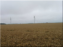 TF1915 : Wind Turbine and wheat field by Alex McGregor