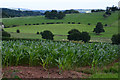 Mid Devon : Countryside Scenery