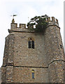 Tree growing on Culmstock church