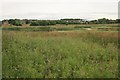 Robroyston Park Local Nature Reserve