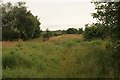 Robroyston Park Local Nature Reserve