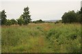 Robroyston Park Local Nature Reserve