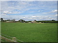 Grass field at Gildingwells