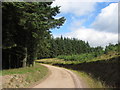 SO0402 : Forestry track on Mynydd Gethin by Gareth James