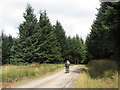 SO0303 : Forestry track on Mynydd Gethin by Gareth James