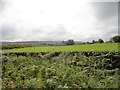 View of Land House farm from the B6296