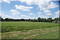 View of Roding Valley Cricket Club from Roding Valley Nature Reserve #2