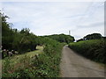 Bridleway to Long Lane