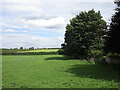 Grass field with stone boundary wall, Gildingwells