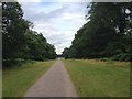 Chestnut Walk, Knole Park