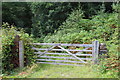 Entrance to Nant-y-Felin Wood