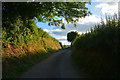 Mid Devon : Country Lane