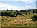 View from Wood House Farm