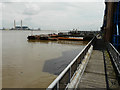 Looking east-northeast from a riverside walk