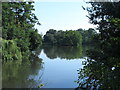 Lake in Somerhill Park