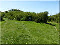 Bryn-y-Garn, Carn Warpool