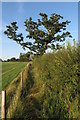 Footpath to Cowley Lodge