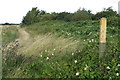 Public footpath towards Chalton