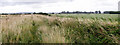 Farmland near Stragglethorpe