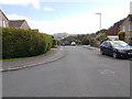 Delves Wood Road - viewed from Moor Park Avenue 