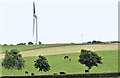 J4474 : Wind turbine, Killarn, Dundonald (August 2016) by Albert Bridge