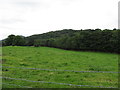 J0717 : View ENE across pasture land to Ravendale Forest by Eric Jones