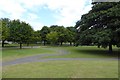 NZ4919 : Paths in Albert Park by DS Pugh