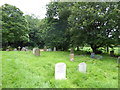 TM2998 : St Margaret, Kirstead: churchyard (6) by Basher Eyre
