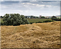 View towards Chipping Campden