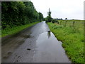 Wet along Aghnamoyle Road