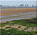 View of Liverpool (1)